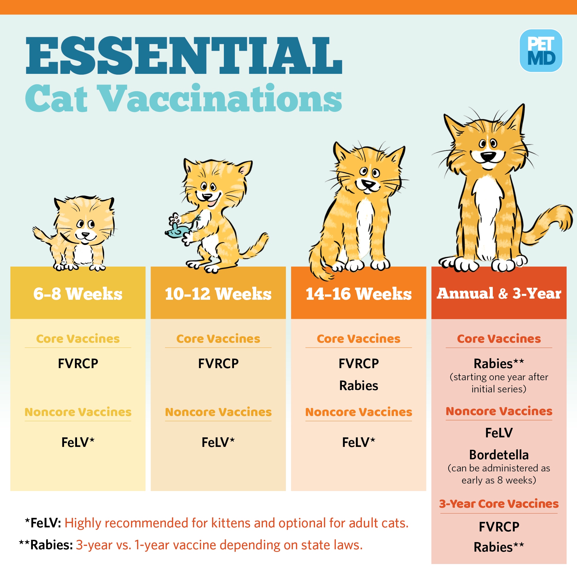 View Cat Vaccinations
 Pics