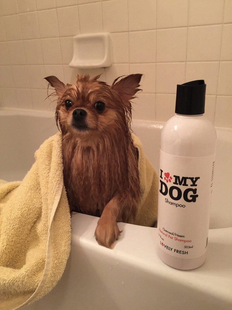 View Best Dog Shampoo
 PNG