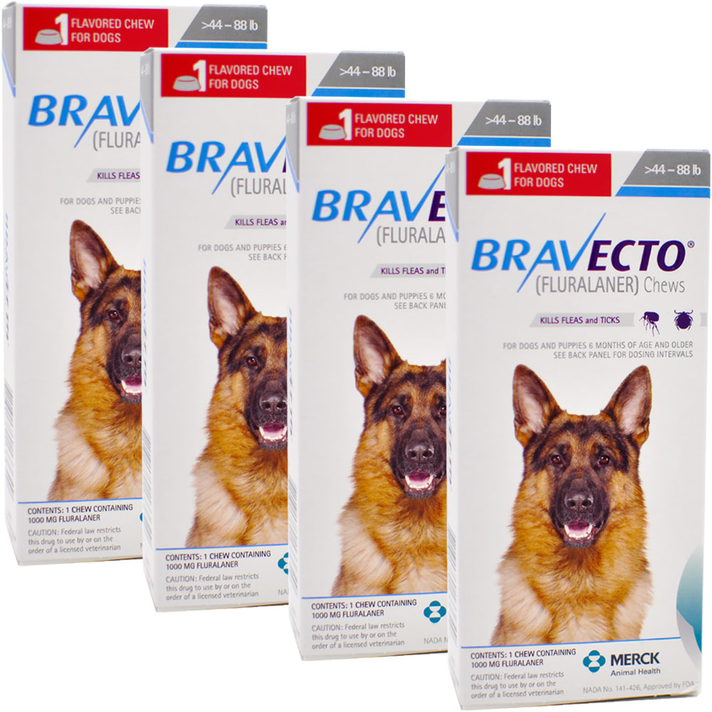 Download Bravecto For Dogs PNG