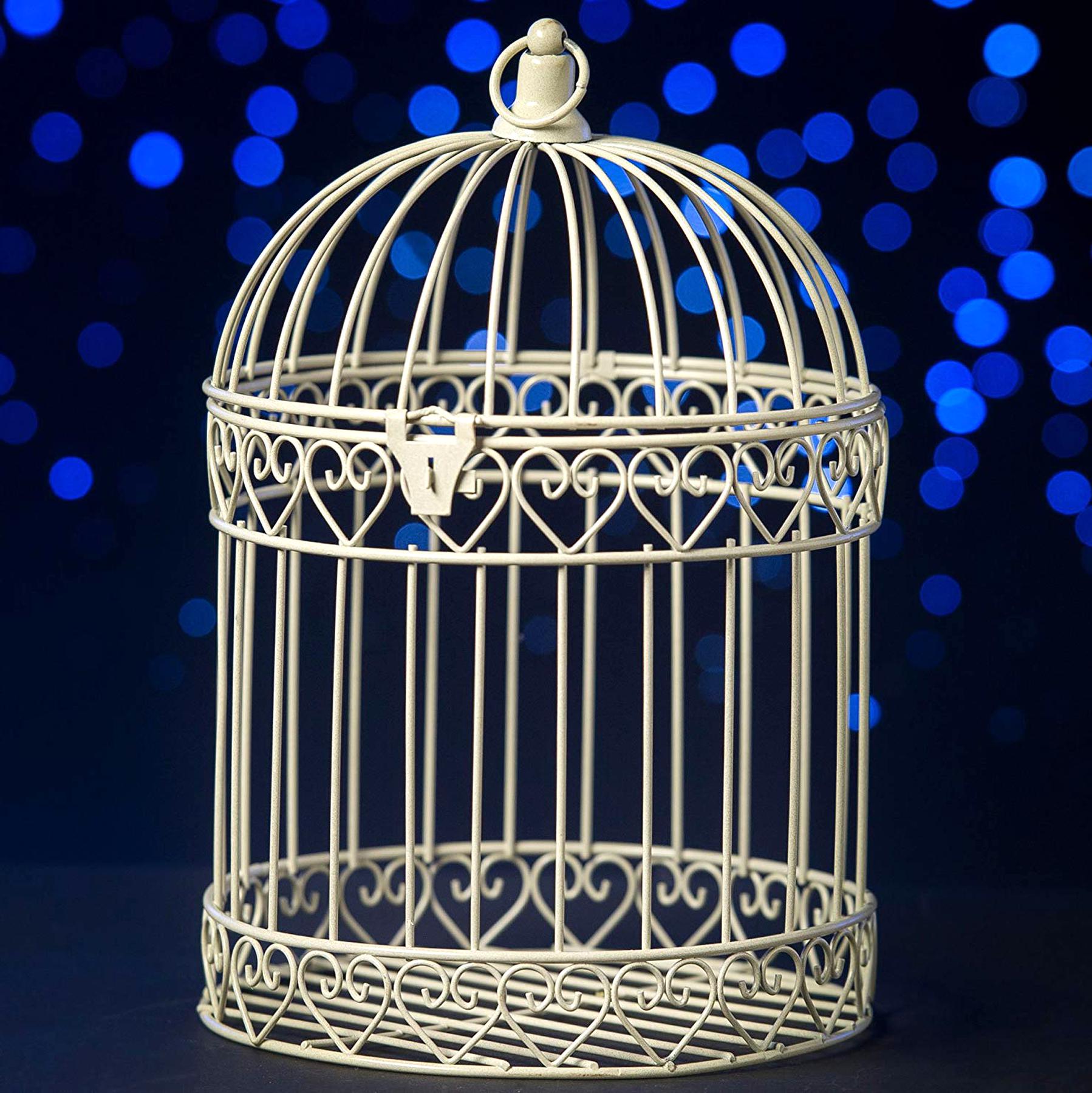 44+ Bird Cages For Sale Background