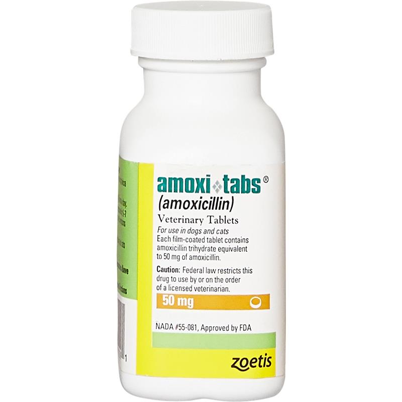 View Amoxicillin For Cats Pictures