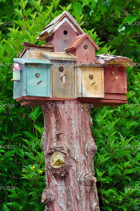 View Bird Houses For Sale
 PNG