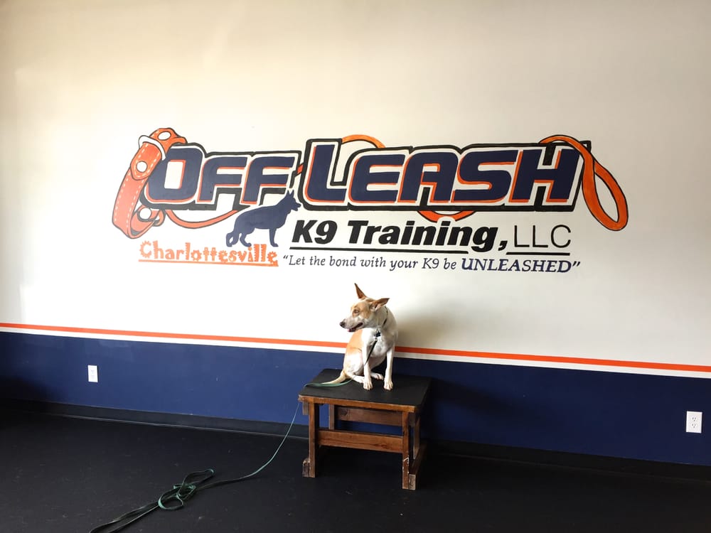 22+ Off Leash K9 Training
 Pictures