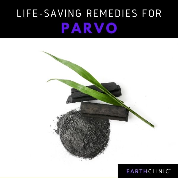 Get Parvo Treatment
 PNG