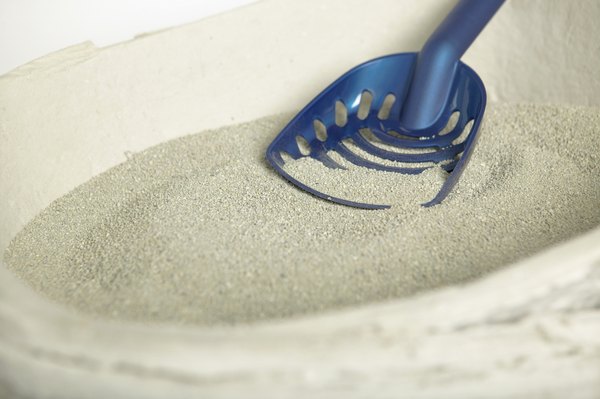 Download Clumping Silica Cat Litter Pictures