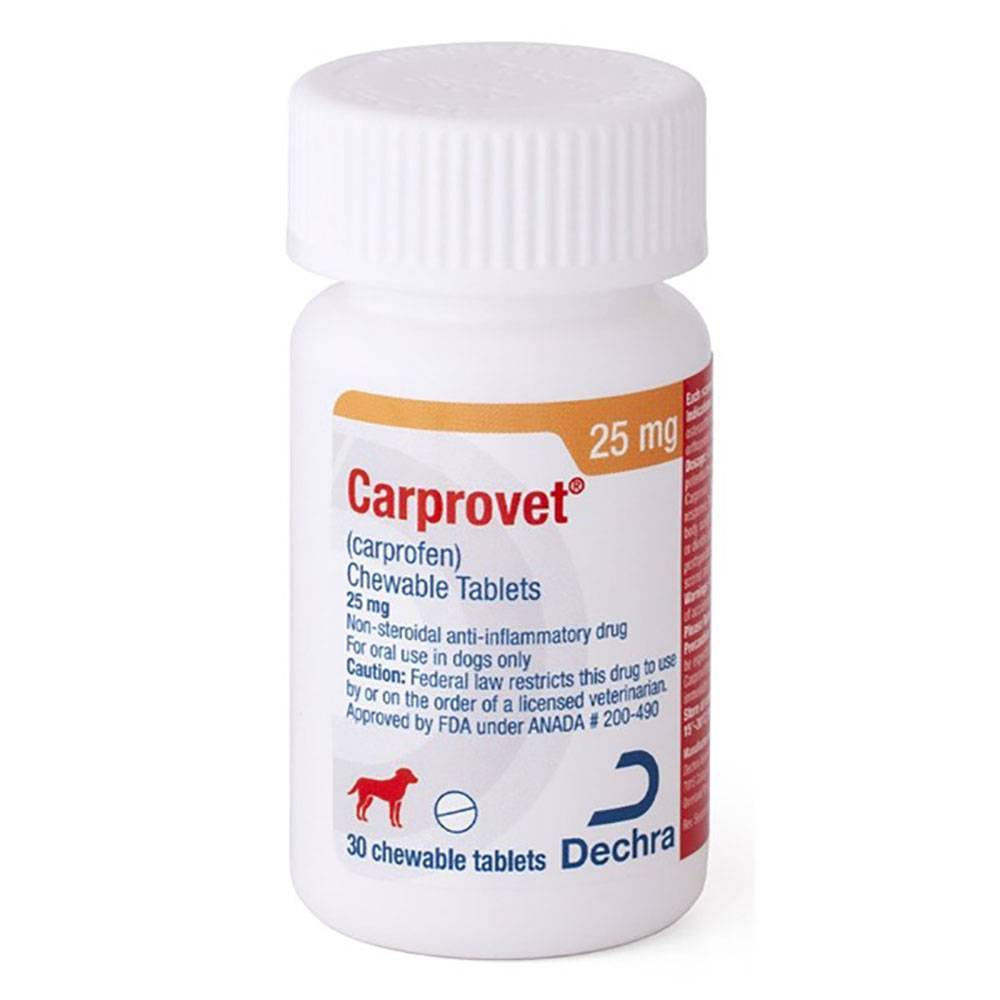 Download Carprofen For Dogs Pictures