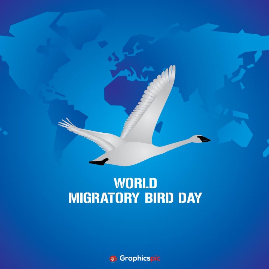13+ World Migratory Bird Day
 Pictures