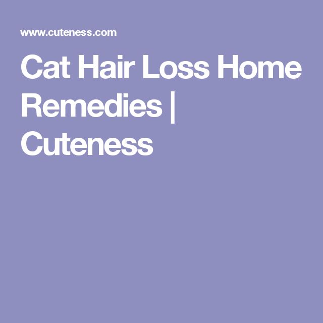 View Home Treatment For Cat Hair Loss Pictures
